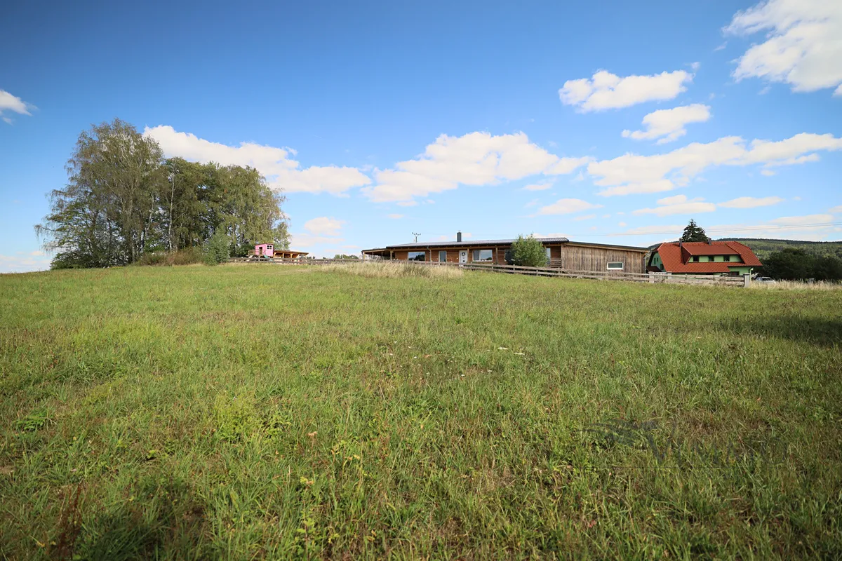 Fotka 11 z 14